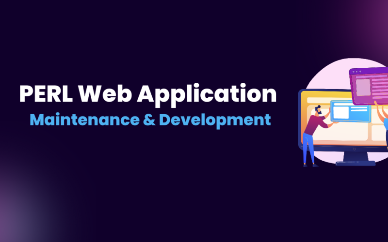 PERL Web Application Maintanance &
