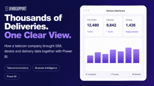 Power bi Case study